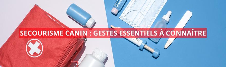 gestes-essentiels-premiers-secours-canins